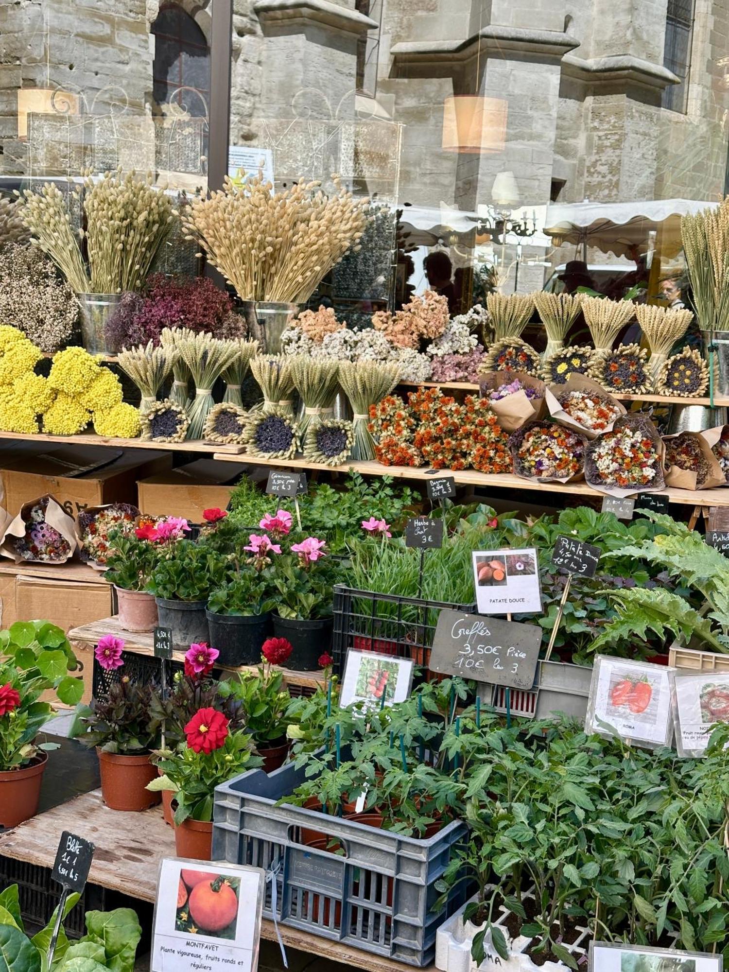 Zen A L Isle LʼIsle-sur-la-Sorgue Екстериор снимка